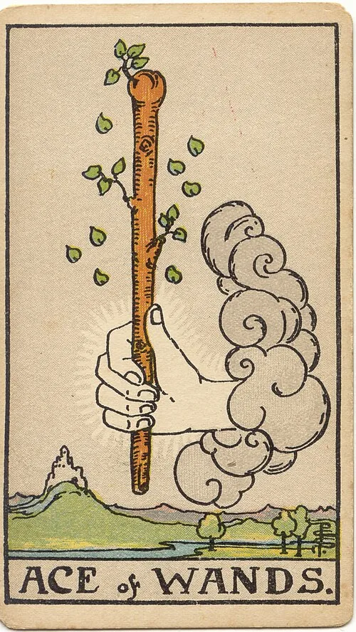 Tranh lá bài Át Gậy (Ace of Wands)