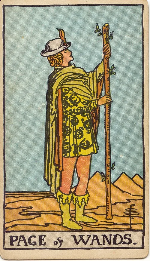 Tranh lá bài Tiểu Đồng Gậy (Page of Wands)