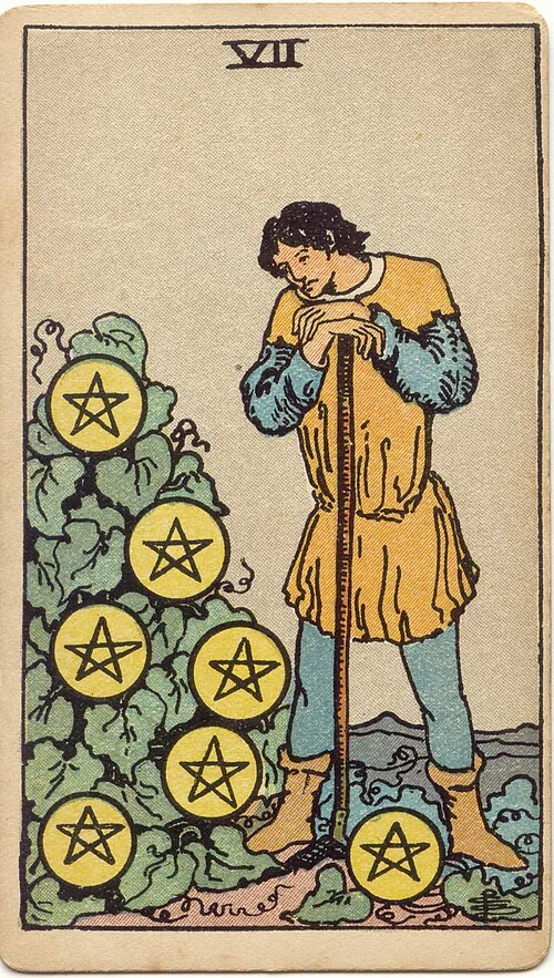 Tranh lá bài Bảy Tiền (Seven of Pentacles)